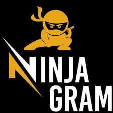 Ninja Download Manager crack + Keygen (1)